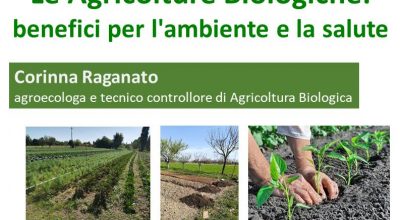Le Agricolture Biologiche: benefici per l’ambiente e la salute