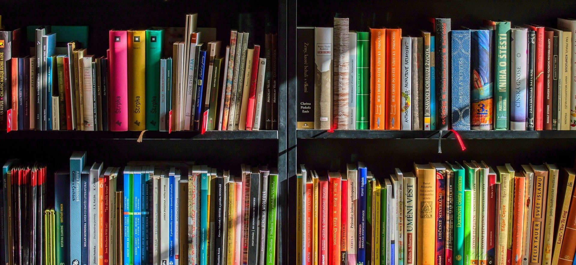 Riapertura Biblioteca Comunale