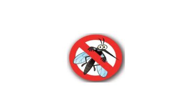 Ordinanza riguardante le misure di lotta alle zanzare al fine di prevenire ogni possibile conseguenza sulla salute pubblica derivante da infestazione.